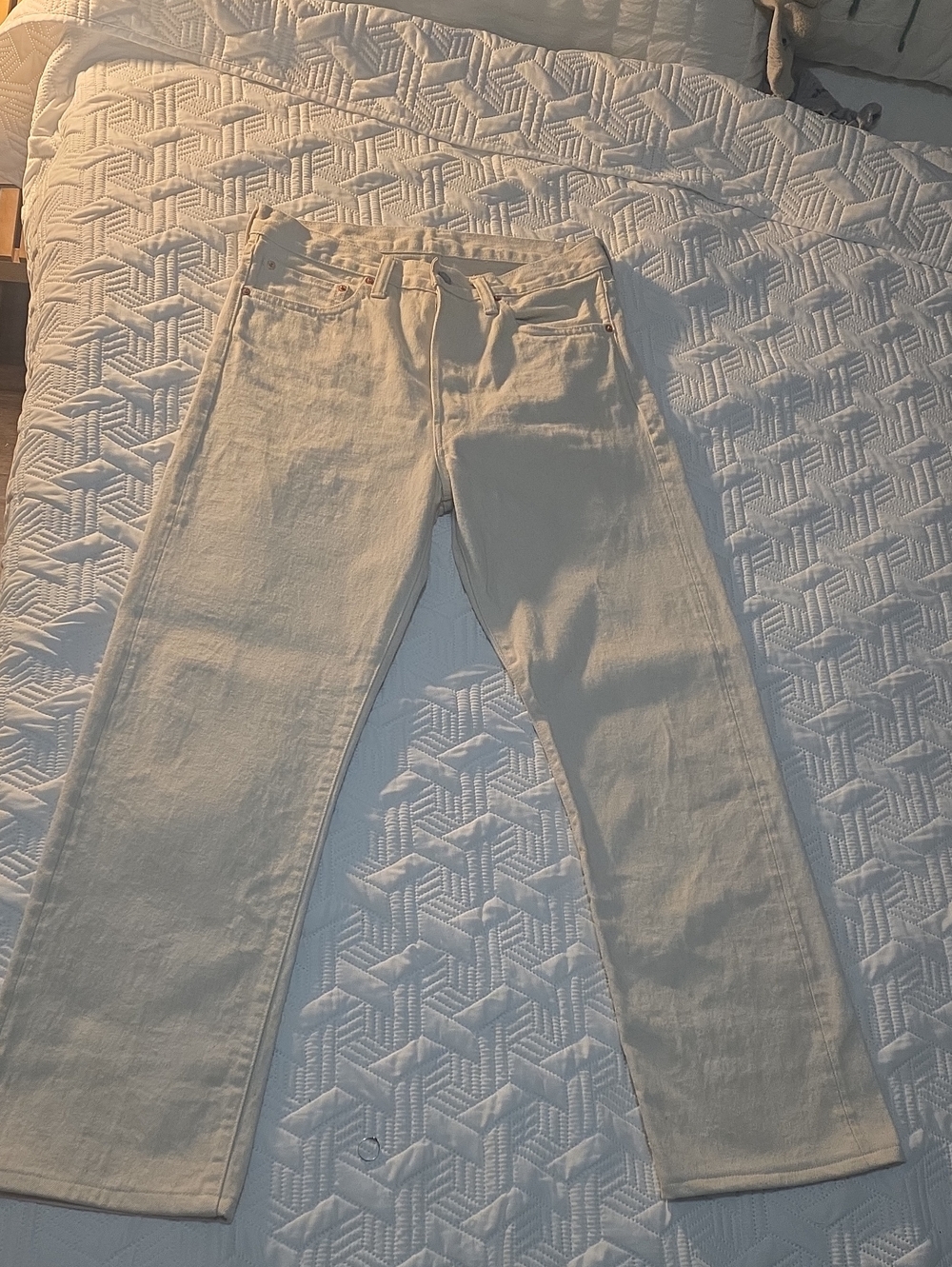 Japanese Loomstate Selvedge Full Saddle Jean
